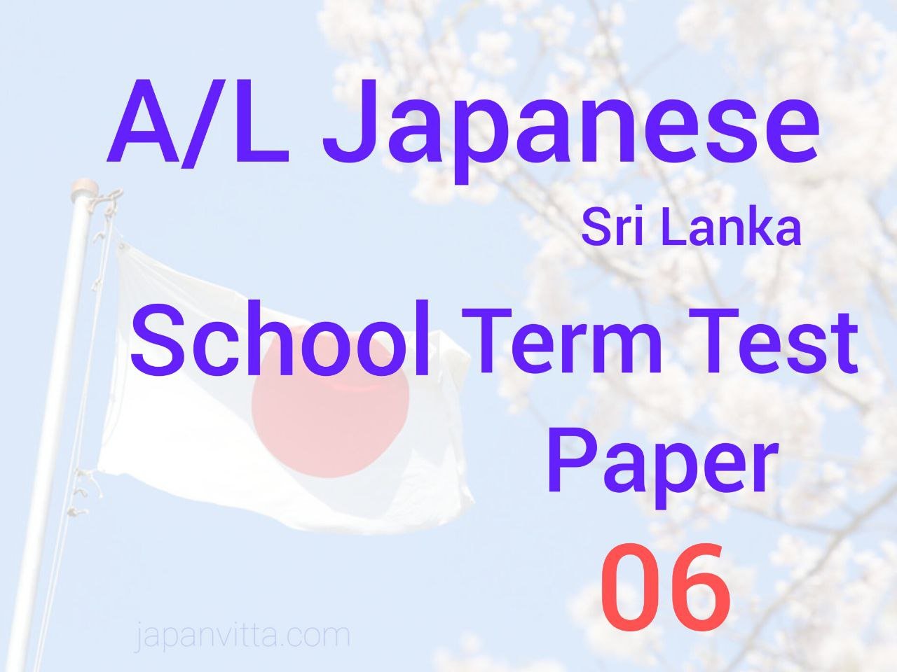 Japanese Testing Paper Japan Vitta | Japanese A/L